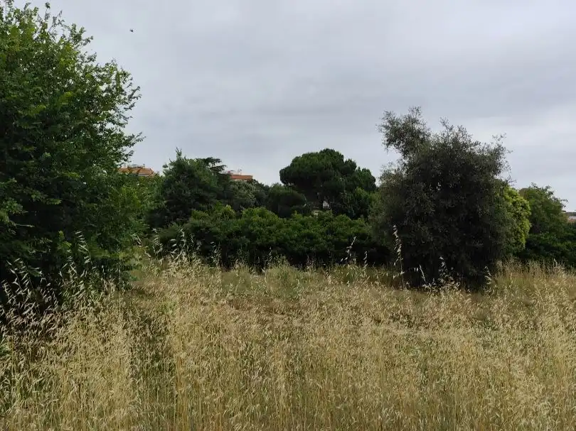 Residential land for sale in Carrer Bullidors 33