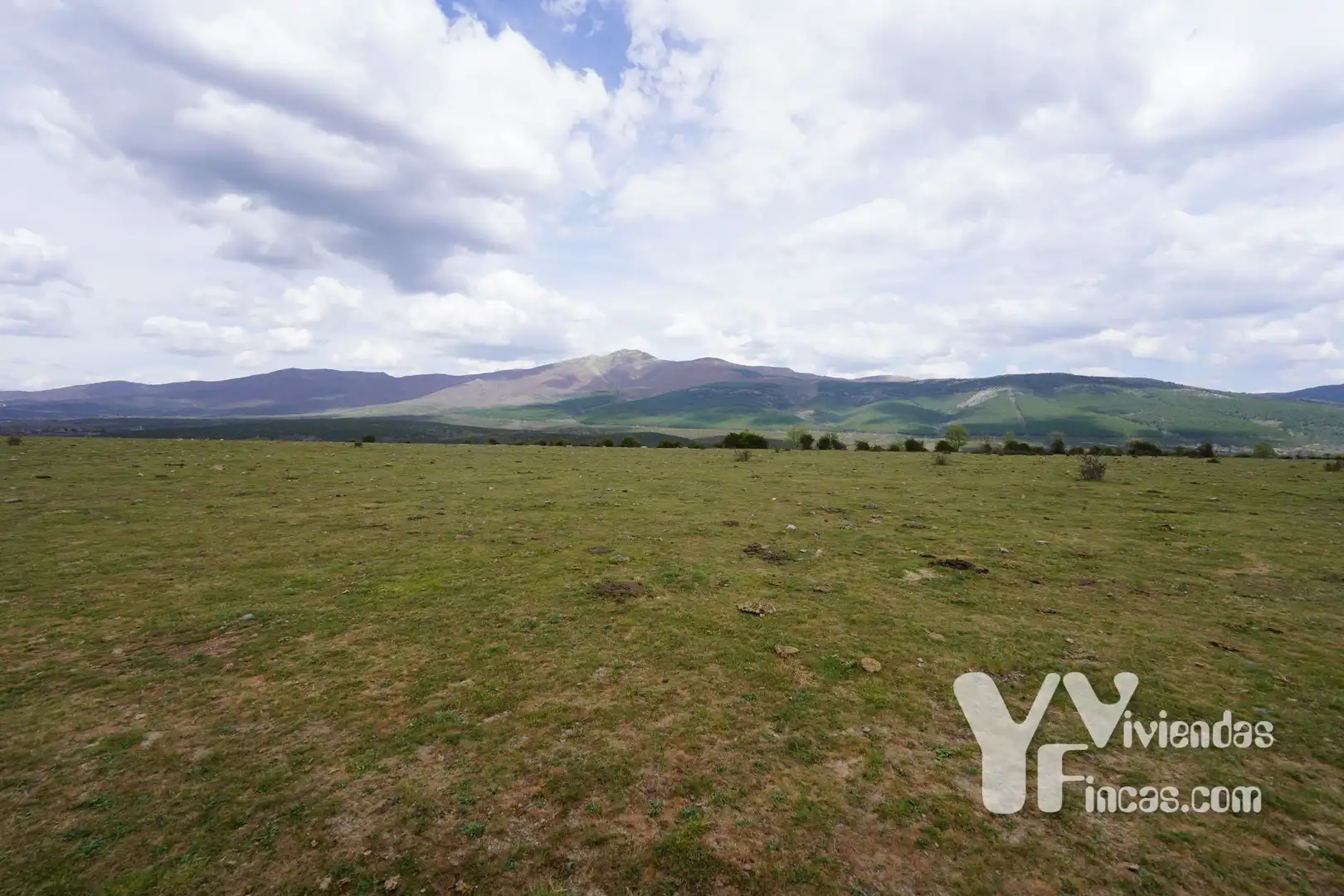 Terreno rústico en venta en Campillo de Ranas, imagen 13