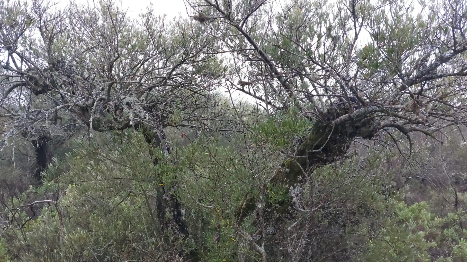 Grundstücke zur Miete in Loranca de Tajuña