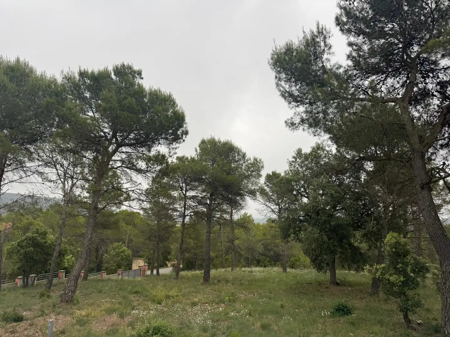 Terreno residenziale in vendita a Avinguda del Bosc, imagen 4