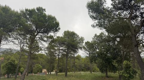 Imatge 4 de l'anunci