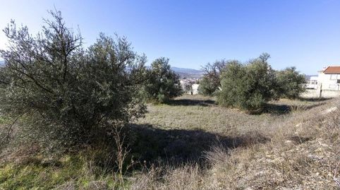 Parcela Urbanizable, immagine 5