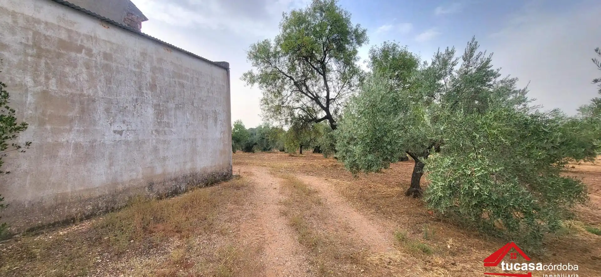 Grundstücke zum Verkauf in Montoro