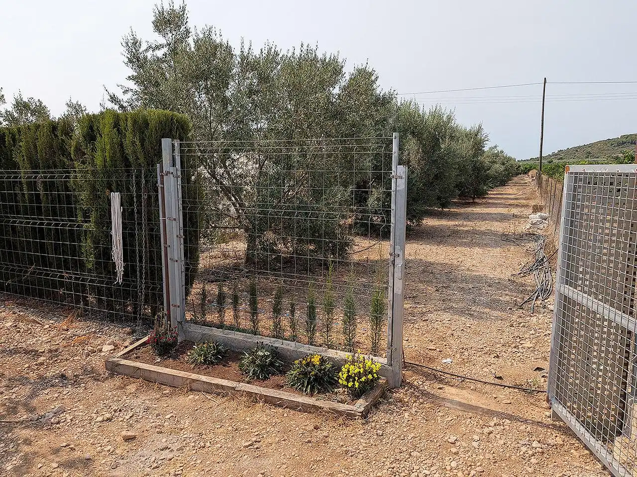 Finca rústica en venda en Vinaròs amb Terrassa i Piscina