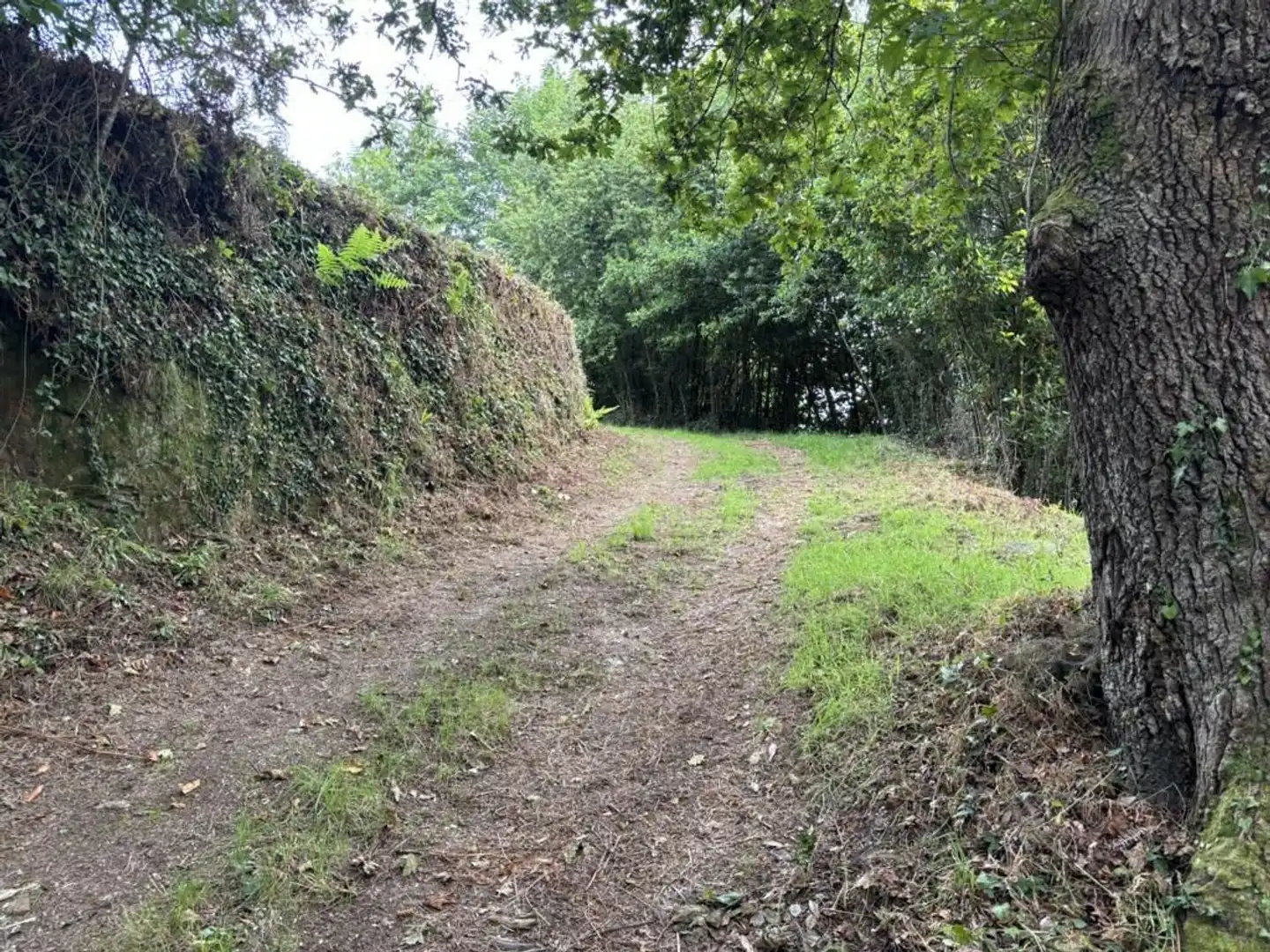 Country homes for sale in O Vicedo 