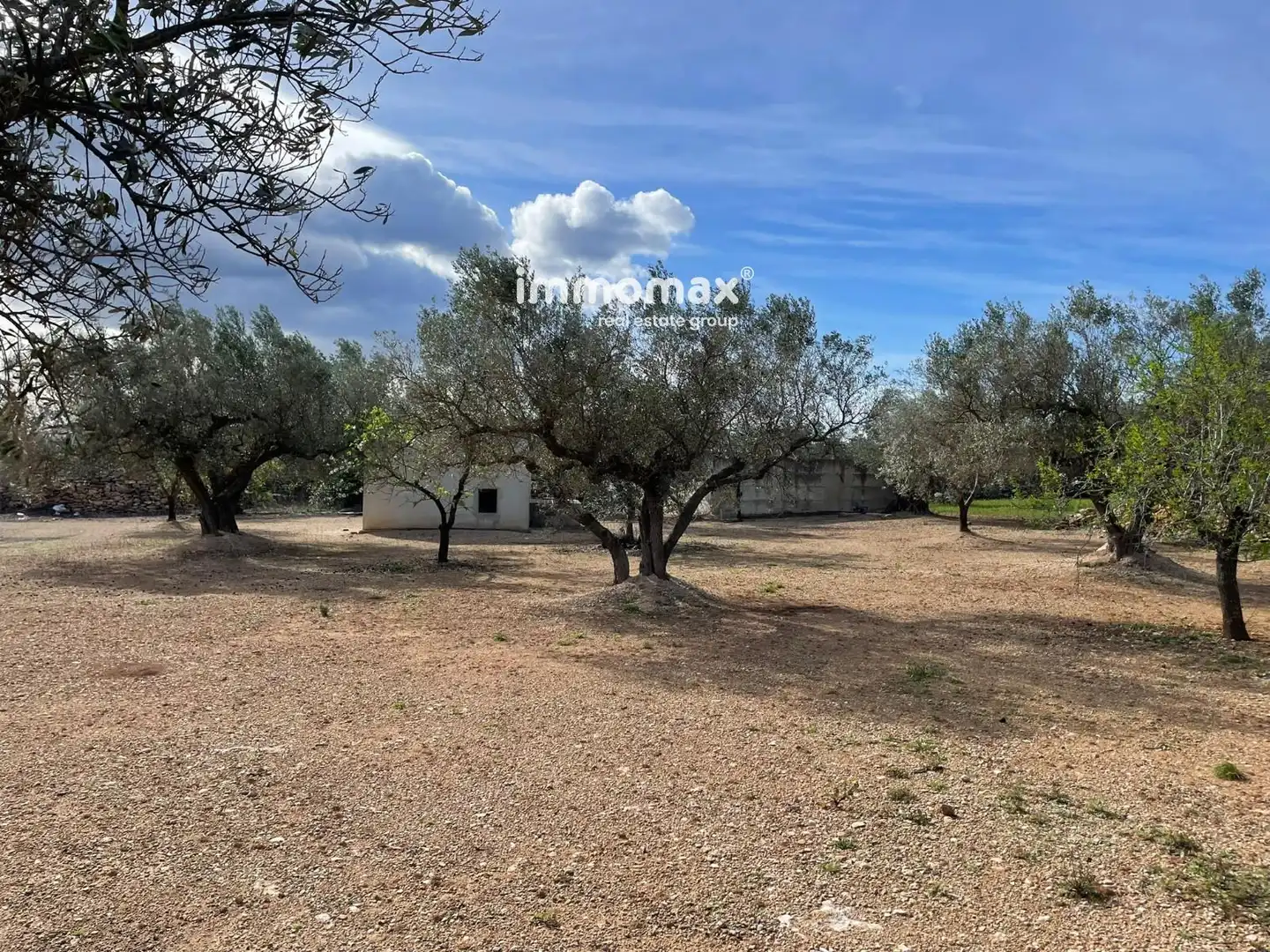 Residential land for sale in 10, imagen 22