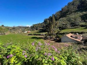 Vista exterior de Finca rústica en venda en Moya (Las Palmas) amb Terrassa i Piscina