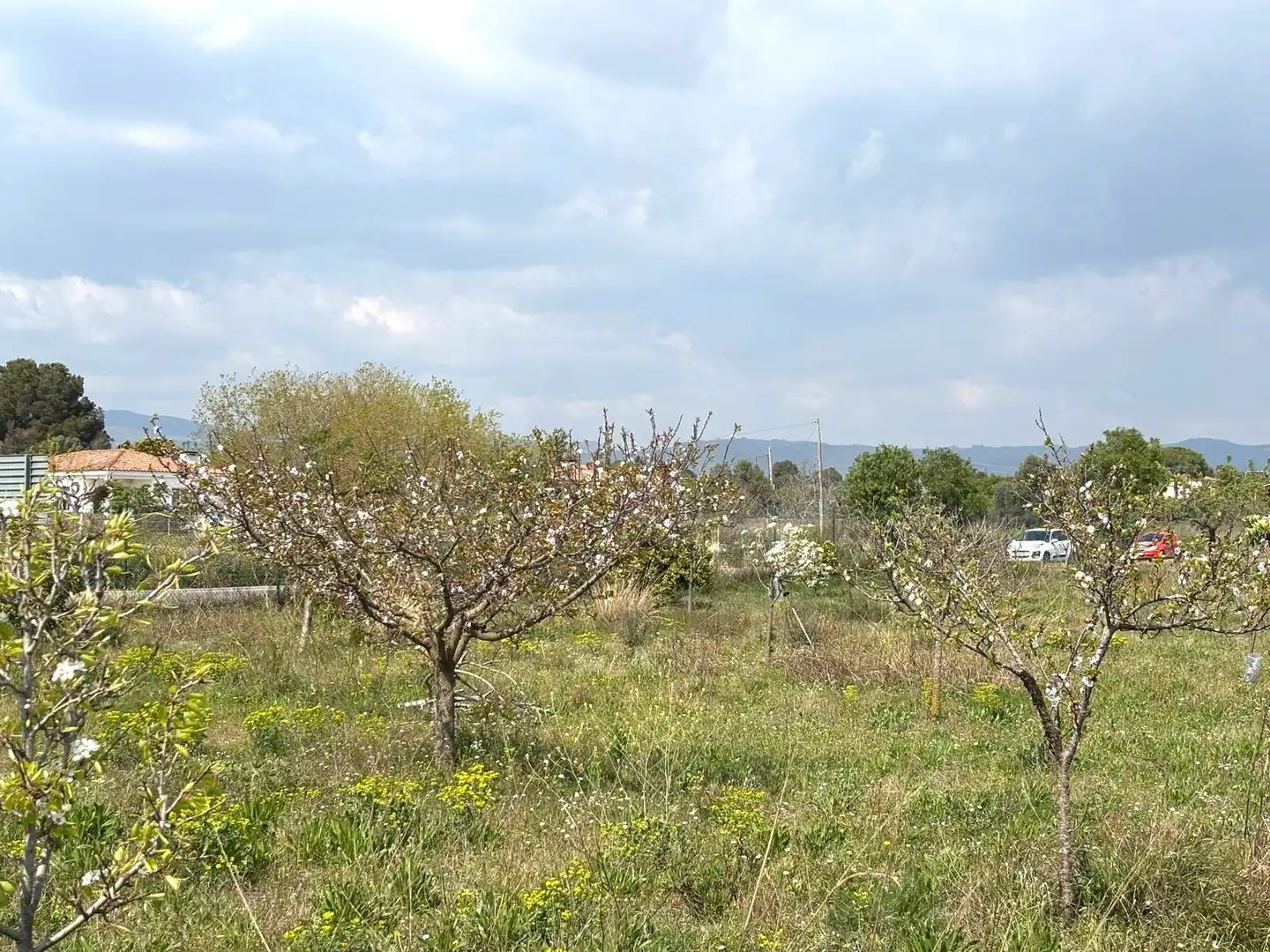 Rural land for sale in Santa Oliva, imagen 15