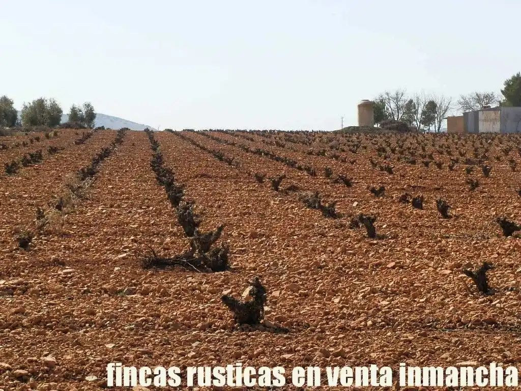 Rural land for sale in Valdepeñas, imagen 15