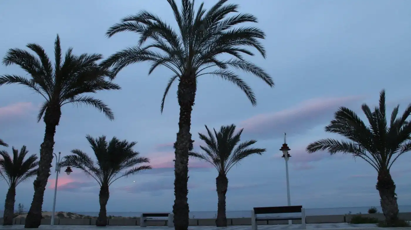 Exterior view of Apartments for sale in Elche / Elx  with Private garden, Terrace and Storage room
