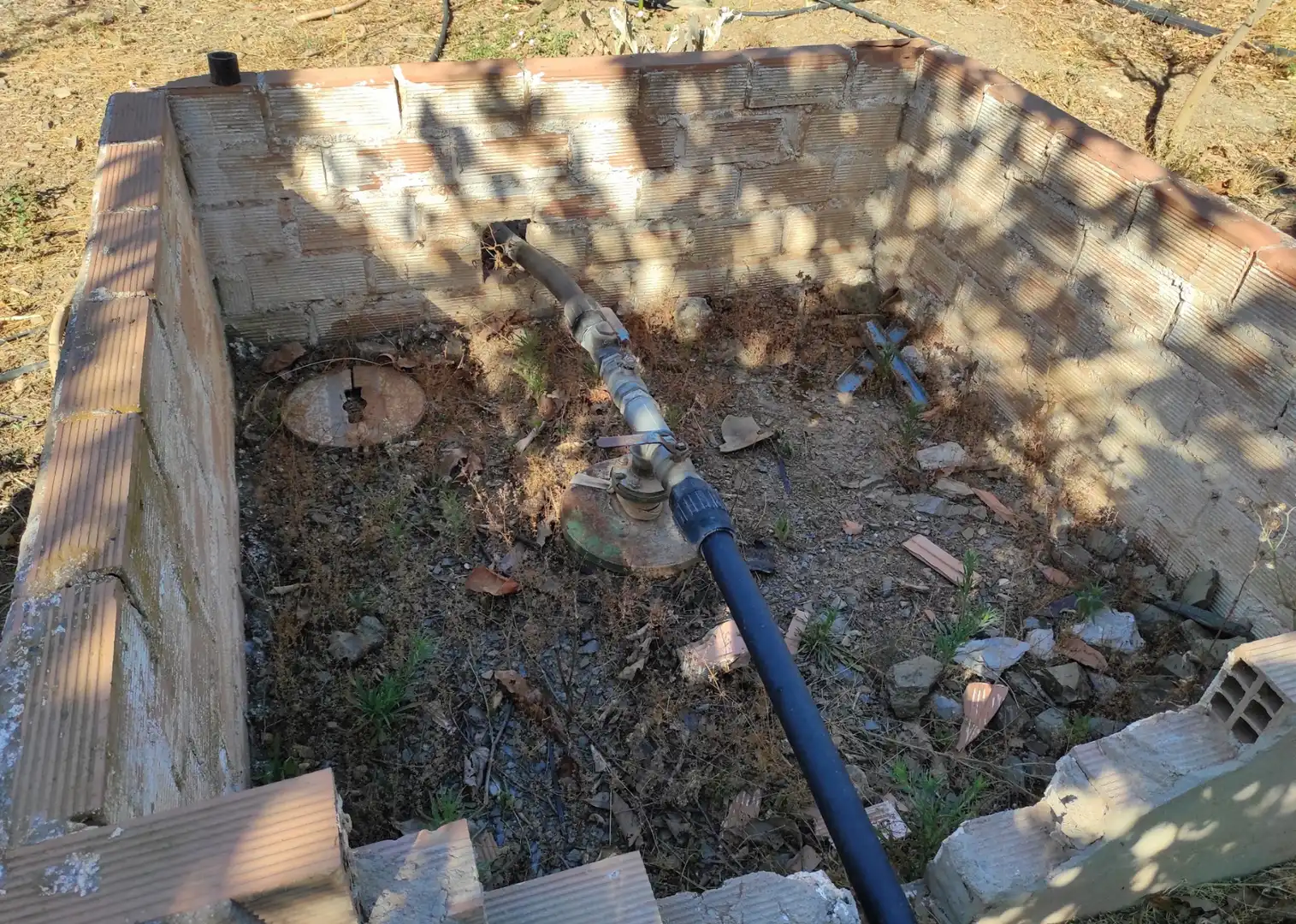 Jardí de Finca rústica en venda en Canillas de Aceituno amb Jardí privat, Terrassa i Traster