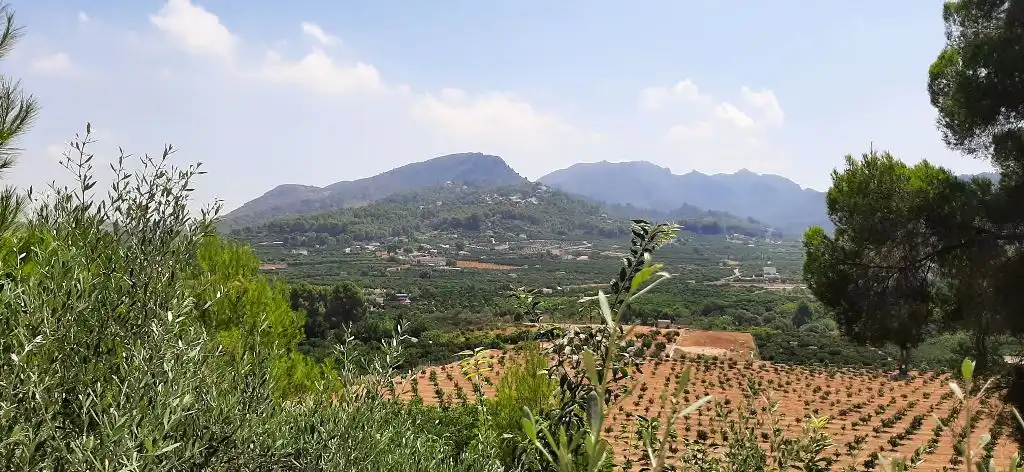Residential land for sale in Carrer del Tallat Roig, imagen 8
