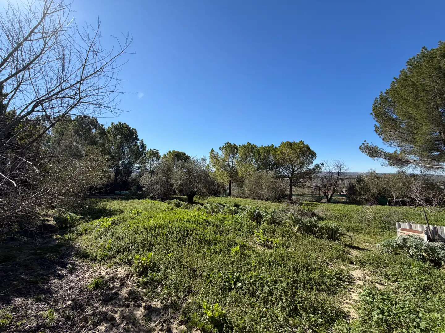Terreny en venda en Úbeda