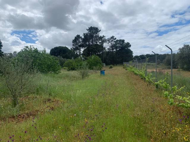 Terreno en Venta en San Bartolomé de la Torre