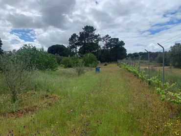 Rural land for sale in San Bartolomé de la Torre