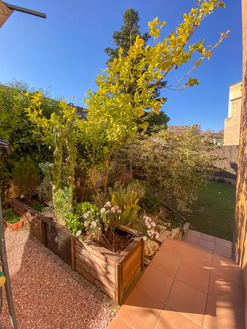 Jardín de Casa adosada en venta en Cerdanyola del Vallès con Aire acondicionado, Calefacción y Jardín privado