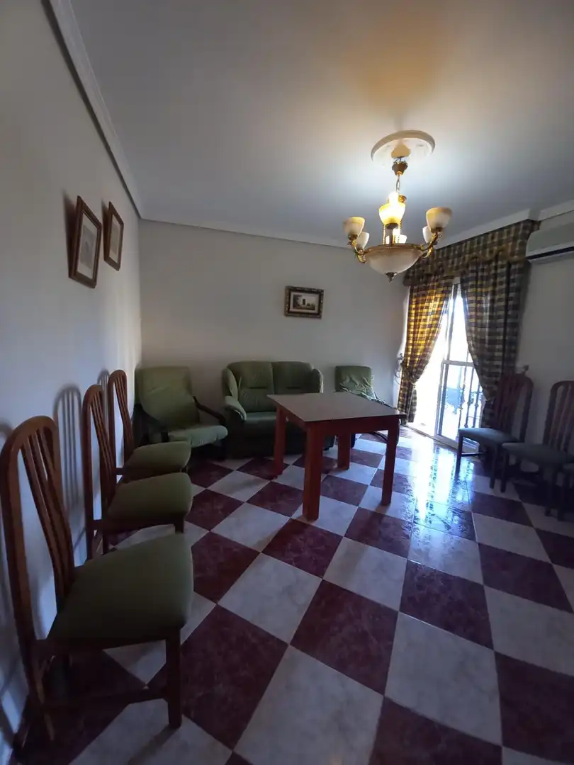 Menjador de Casa o xalet en venda en Córdoba amb Jardí privat, Terrassa i Moblat