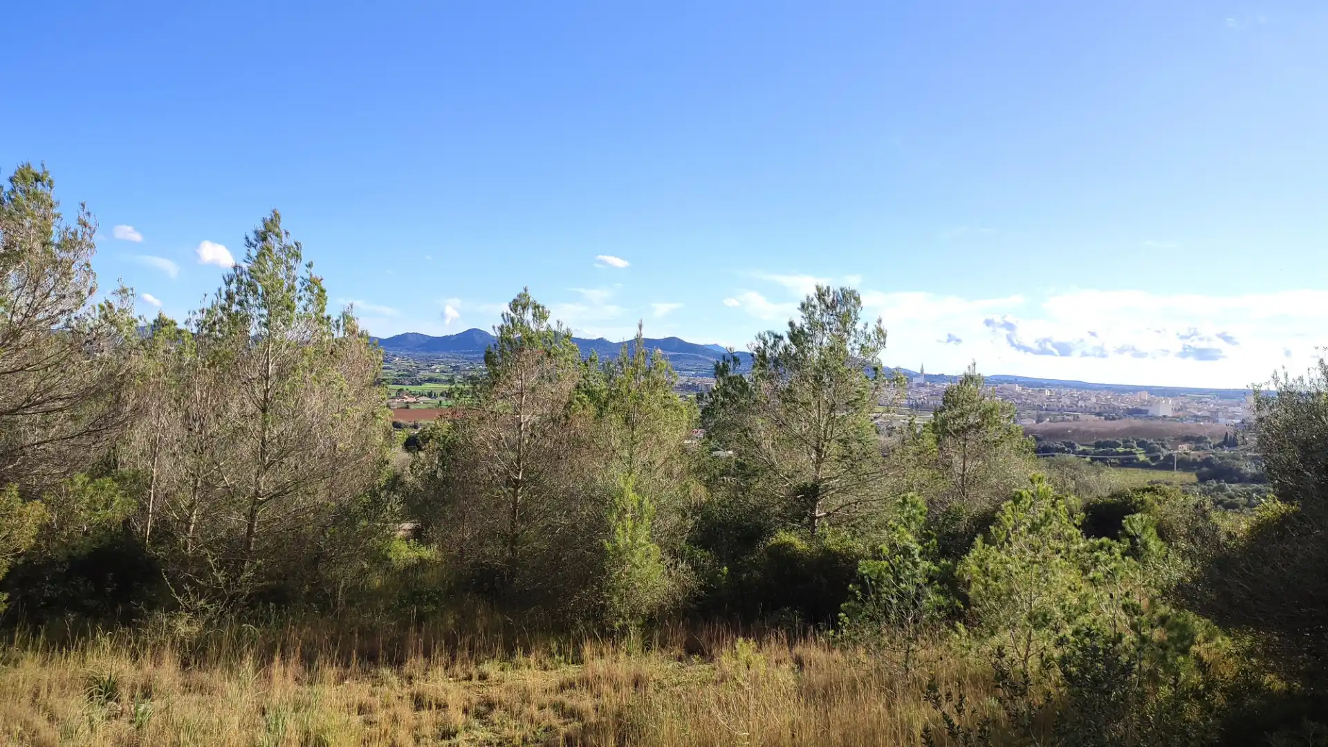 Residential land for sale in Carrer Puig des Teix 17, imagen 6
