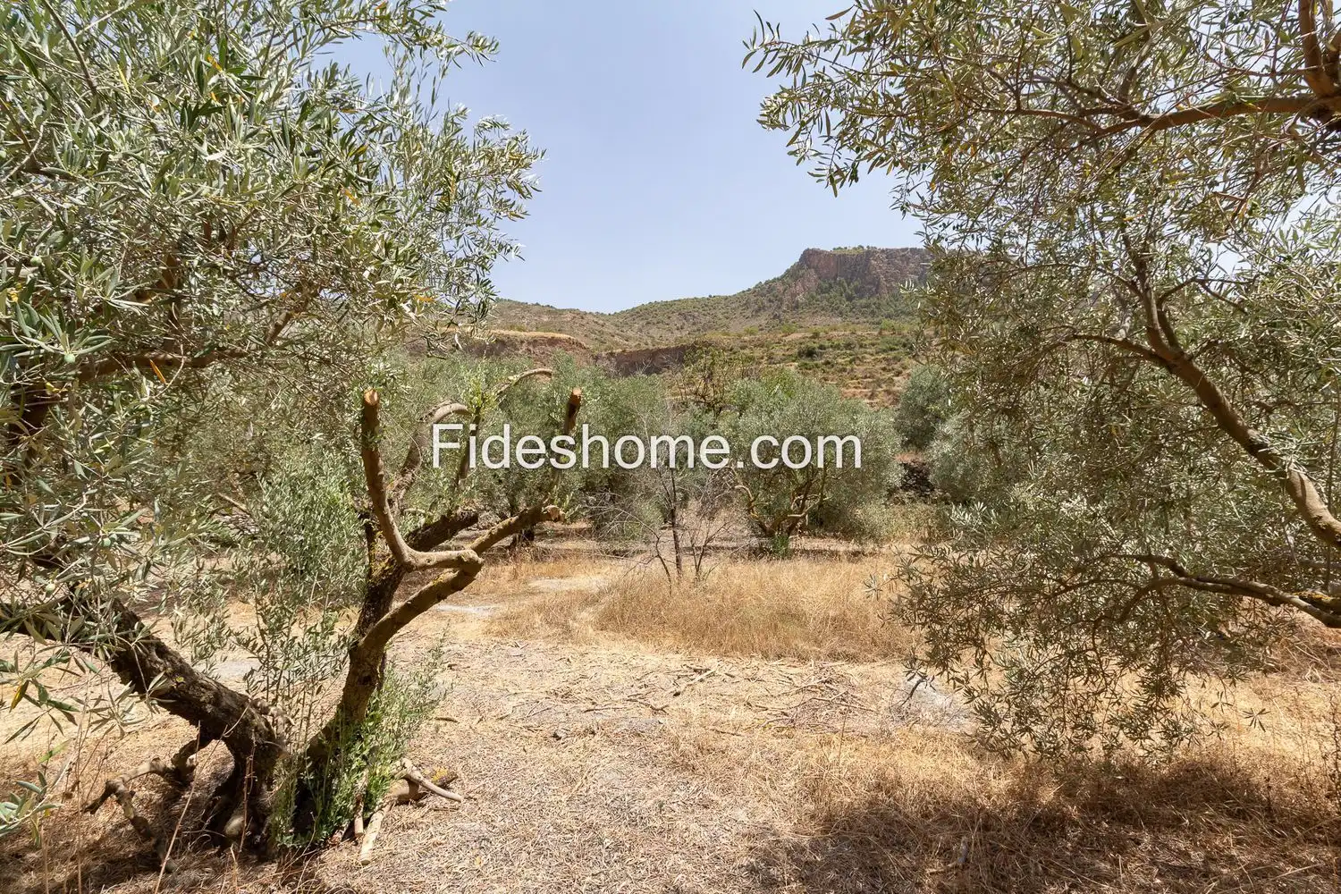 Terrain rustique à vendre à XFG6+CRG Nigüelas 0, imagen 14