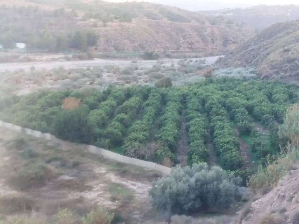 Land for sale in Alhabia