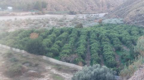 Foto 3 de Terreny en venda a Al-450, Alhabia, Almería