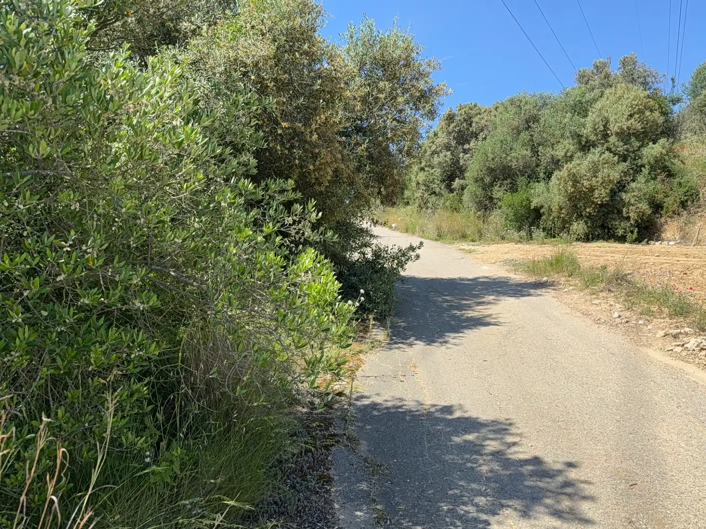 Rustikales Grundstück zum Verkauf in Camí del Cementiri 97, imagen 20