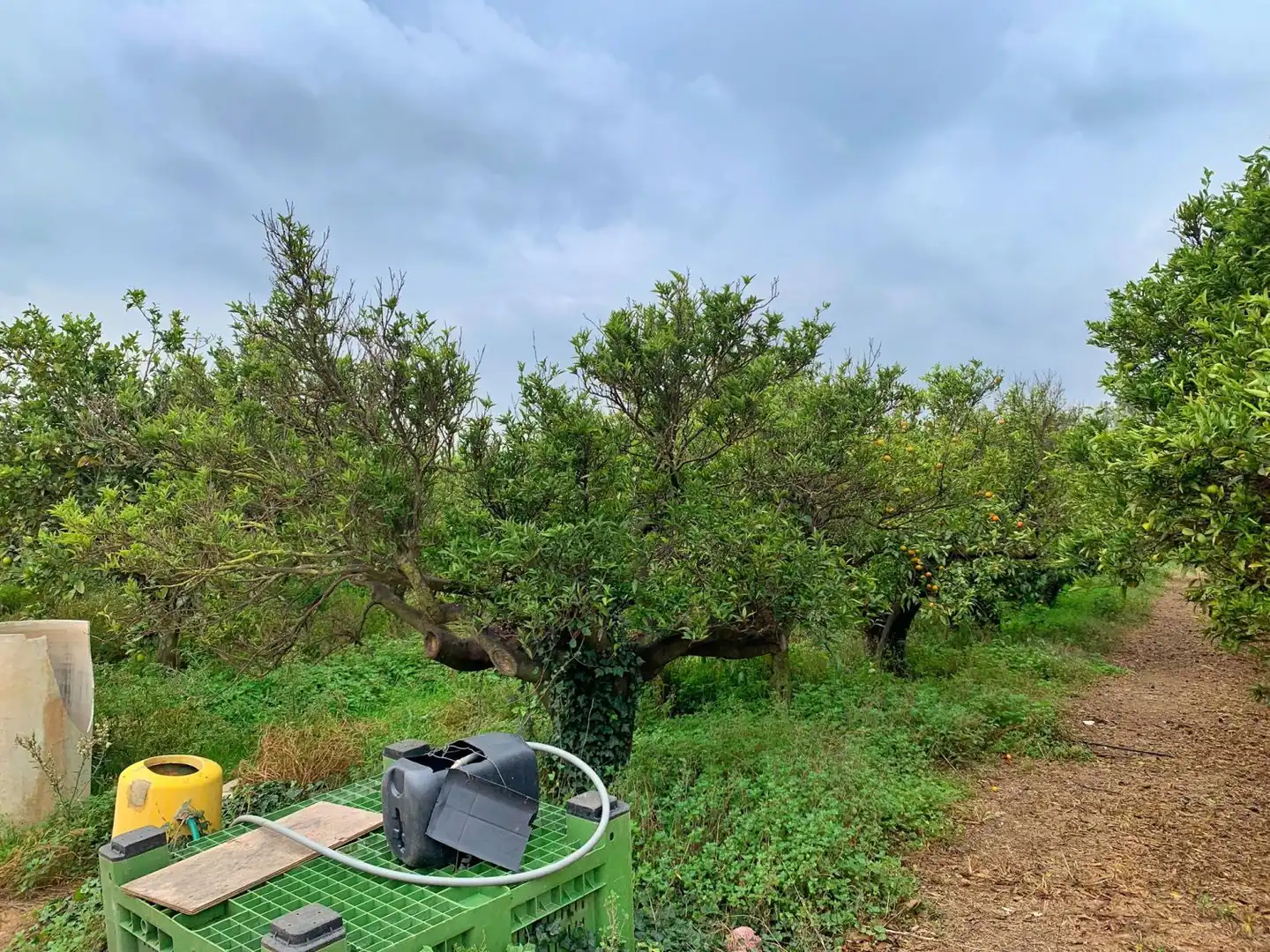Finca rústica en venda en Tortosa