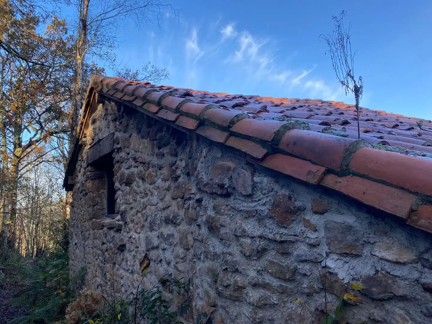 Terreno rustico in vendita a Cangas de Onís, imagen 15