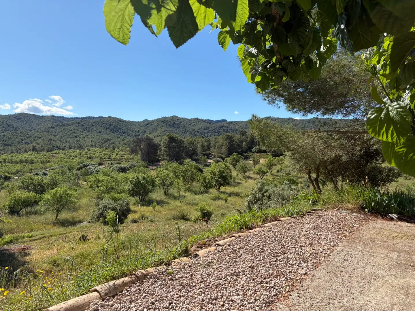 Finca rústica en venda en Ascó amb Aire condicionat, Calefacció i Piscina