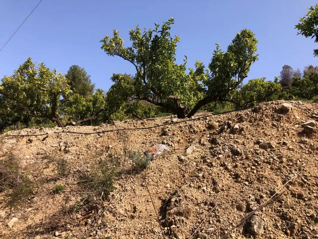 Terrain rustique à vendre à Plaça Poligono 11 15, imagen 28