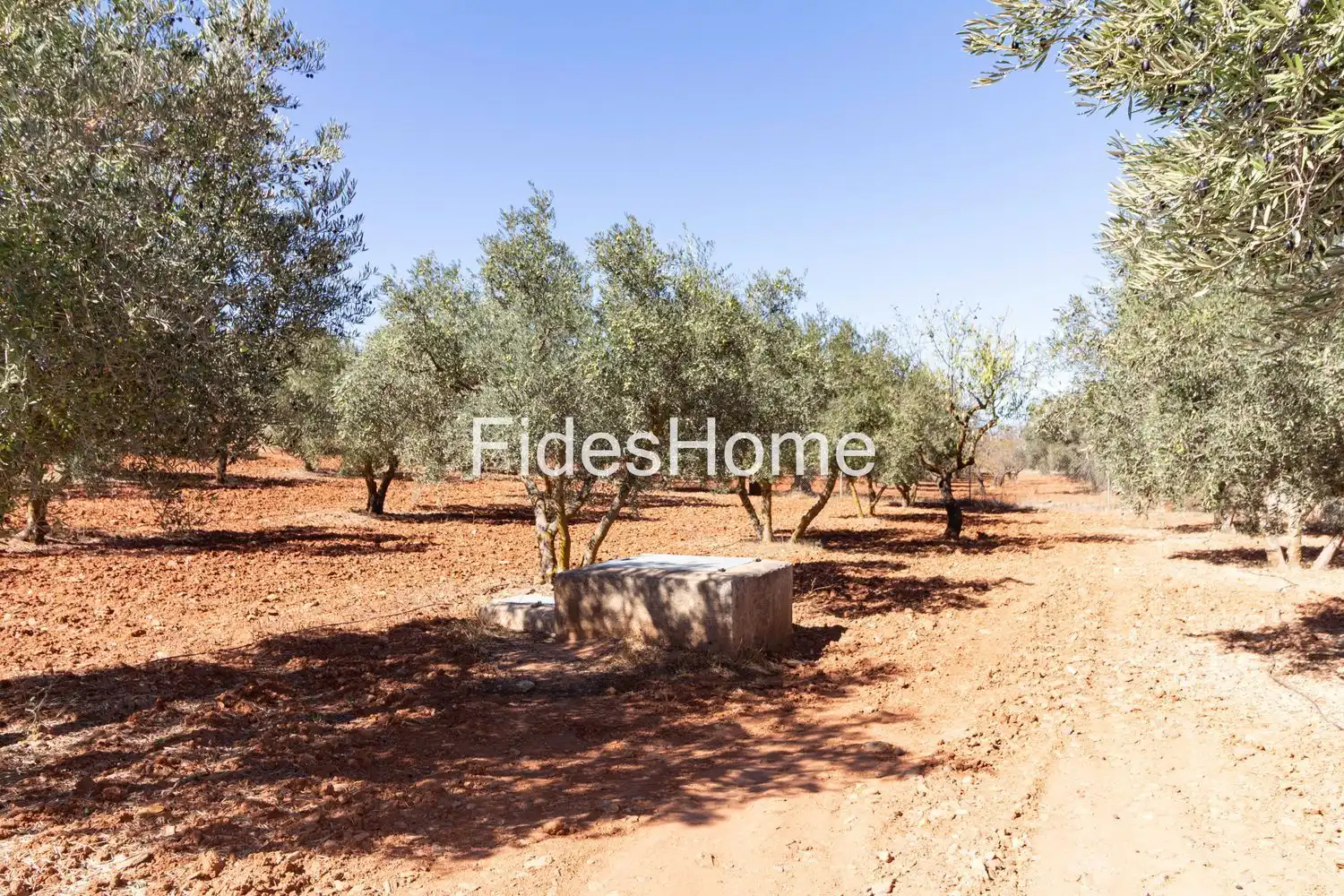 Rural land for sale in XC7V+6WV Acequias 0, imagen 3
