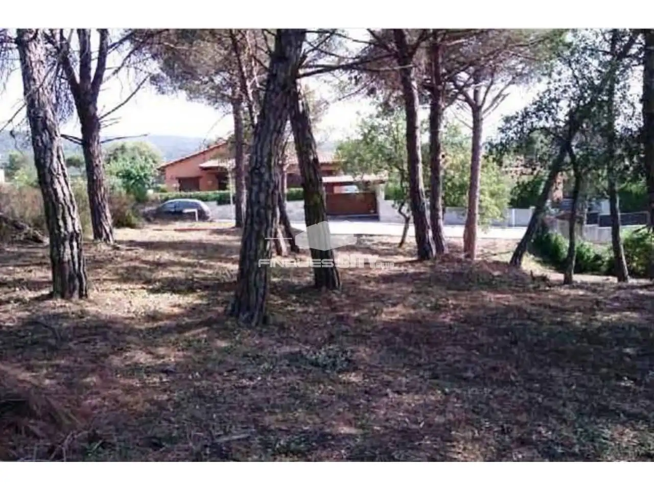 Wohnbaugrundstück zum Verkauf in Ronda Goba