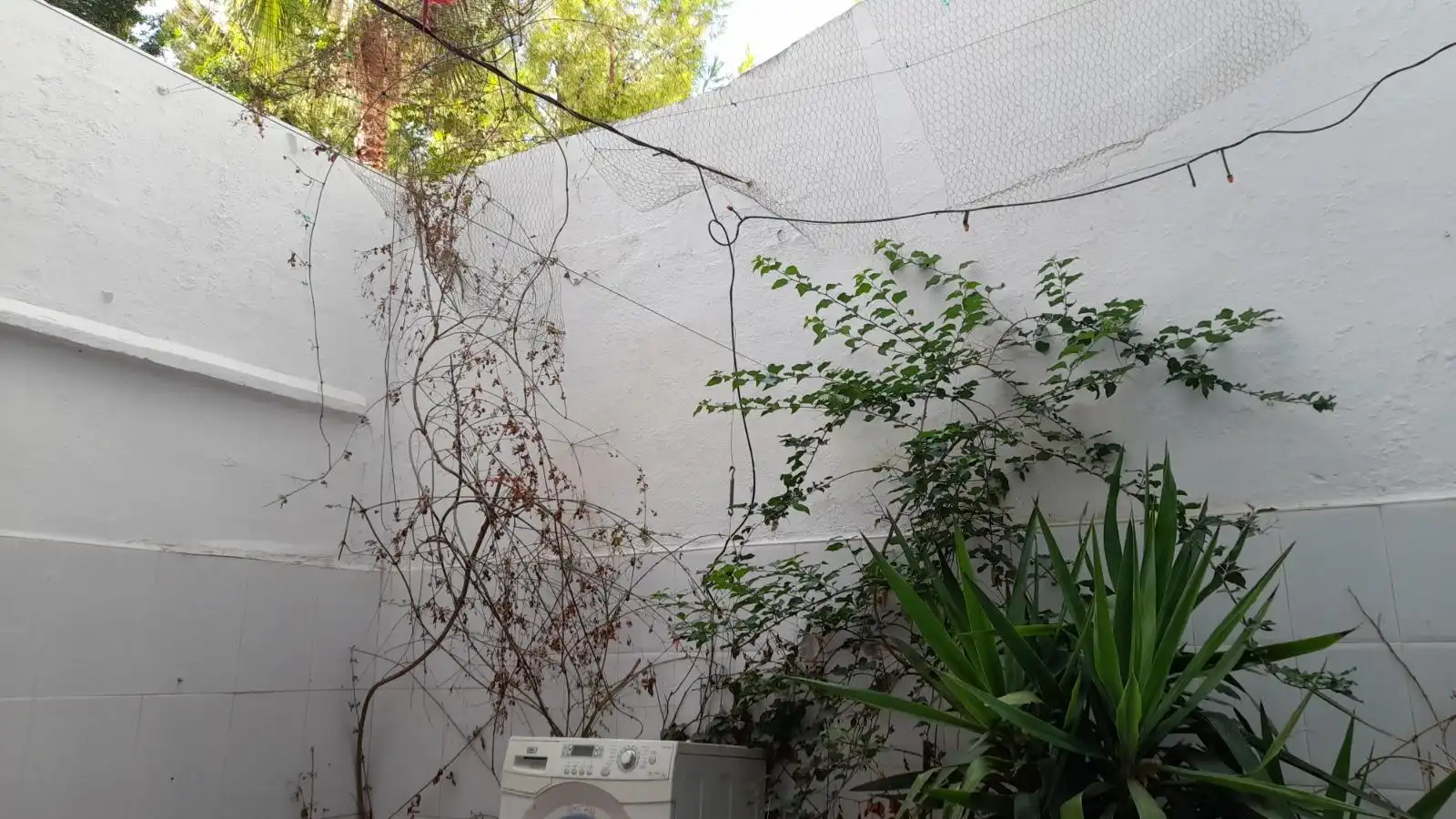 Garten von Geschaftsraum zur Miete in Valencia