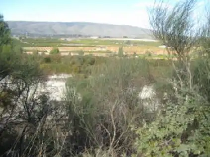 Rural land for sale in Partida Fuente de Canut, imagen 7