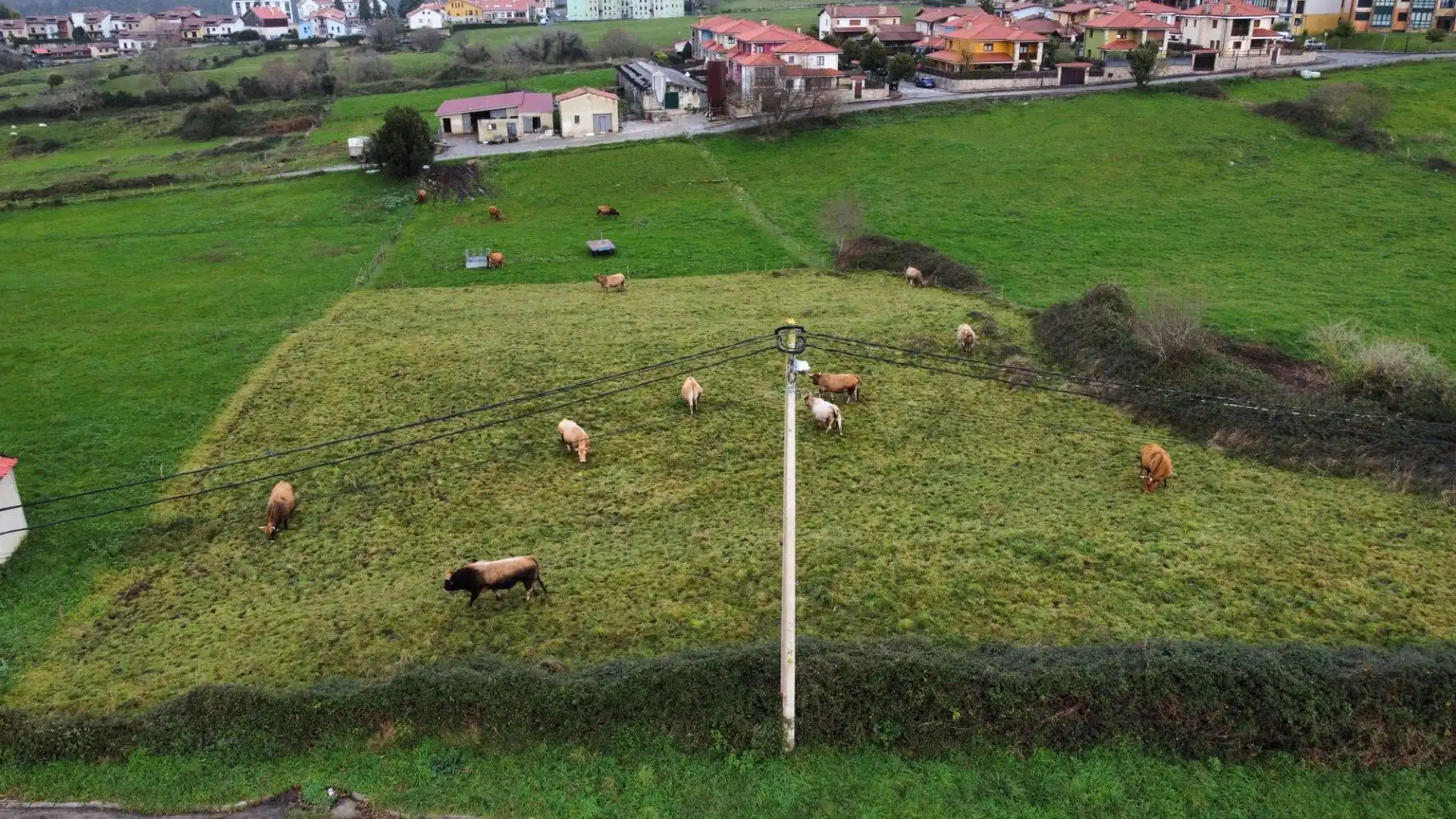 Terreno residencial en venta en Lugar COLOMBRES, imagen 3