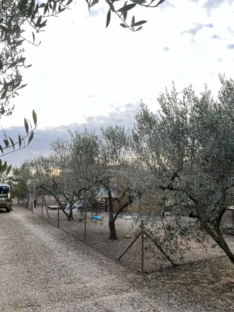 Finca rústica en venda en Reus amb Calefacció, Terrassa i Moblat