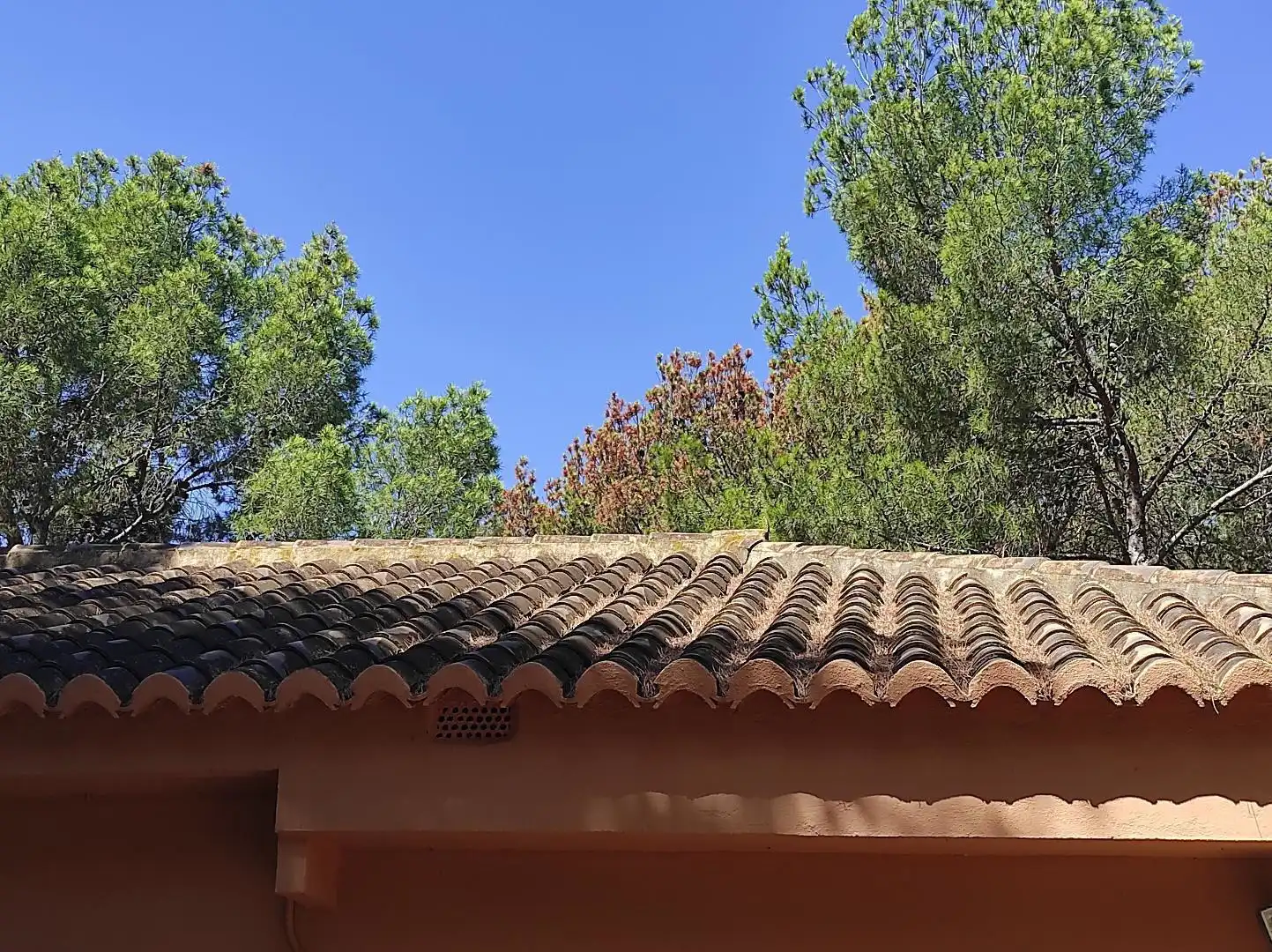 Vista exterior de Casa o xalet en venda en Náquera amb Terrassa, Traster i Piscina