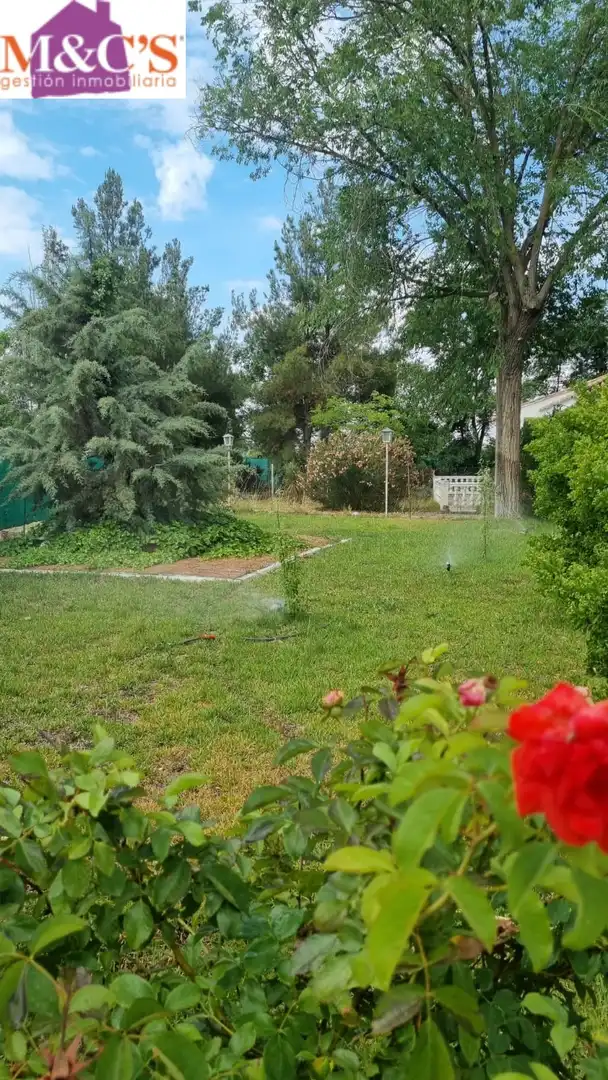Terreno rustico in vendita a Argamasilla de Calatrava, imagen 41