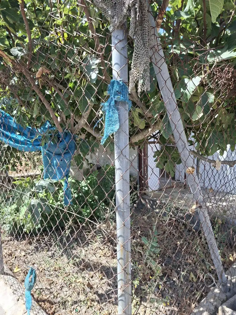 Terrenys i solars en venda a Los Franceses – La Vega, imagen 8