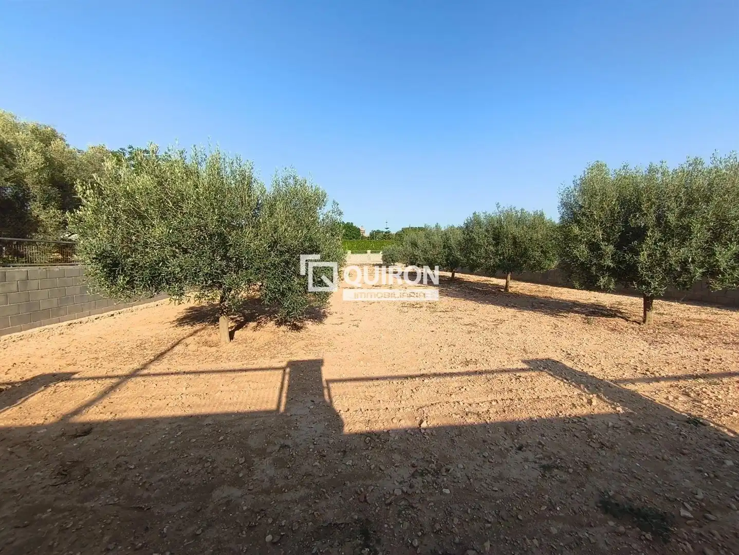 Land for sale in Montferri