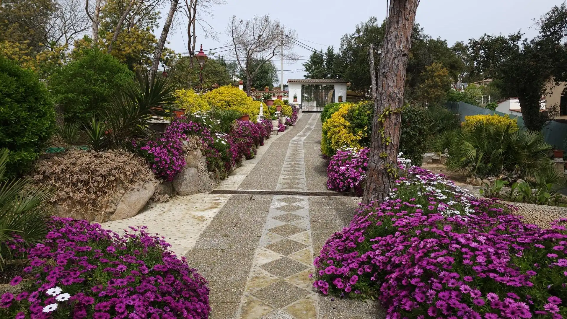 Casa con terrazza in vendita a Mas Altaba - El Molí, imagen 4