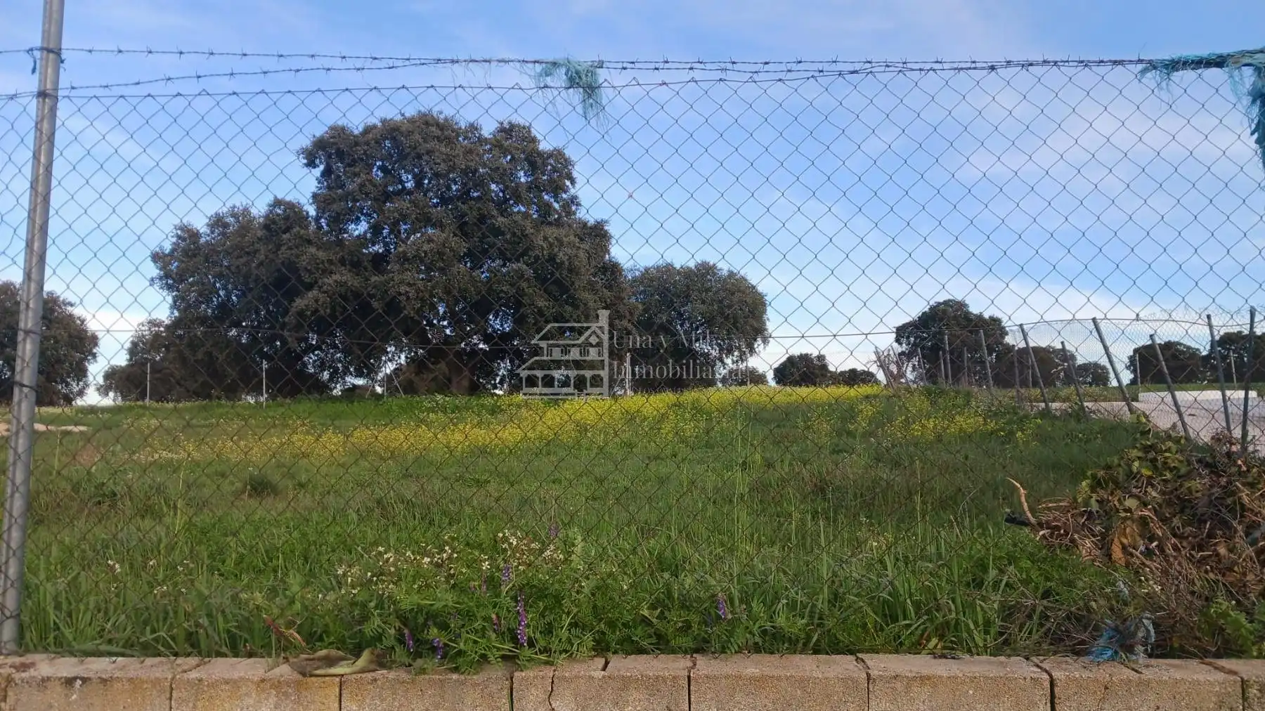 Lands and plots for sale in Calvarrasa de Arriba, imagen 7