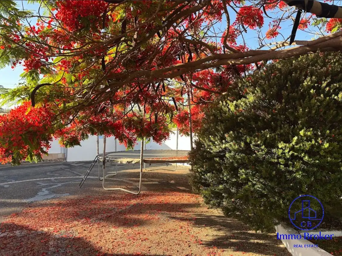 Jardí de Finca rústica en venda en Guía de Isora amb Aire condicionat, Jardí privat i Traster