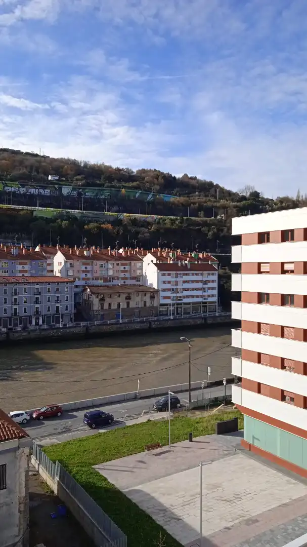 Piso de alquiler en San Pedro de Deusto - La Ribera