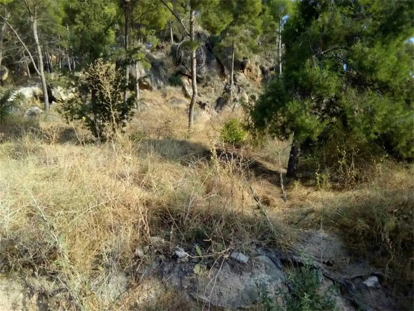 Terreno en venta en Pedanías Este