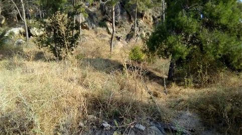Foto 3 de Terreno en venta en Calle del Pino, Santo Angel, Murcia Capital