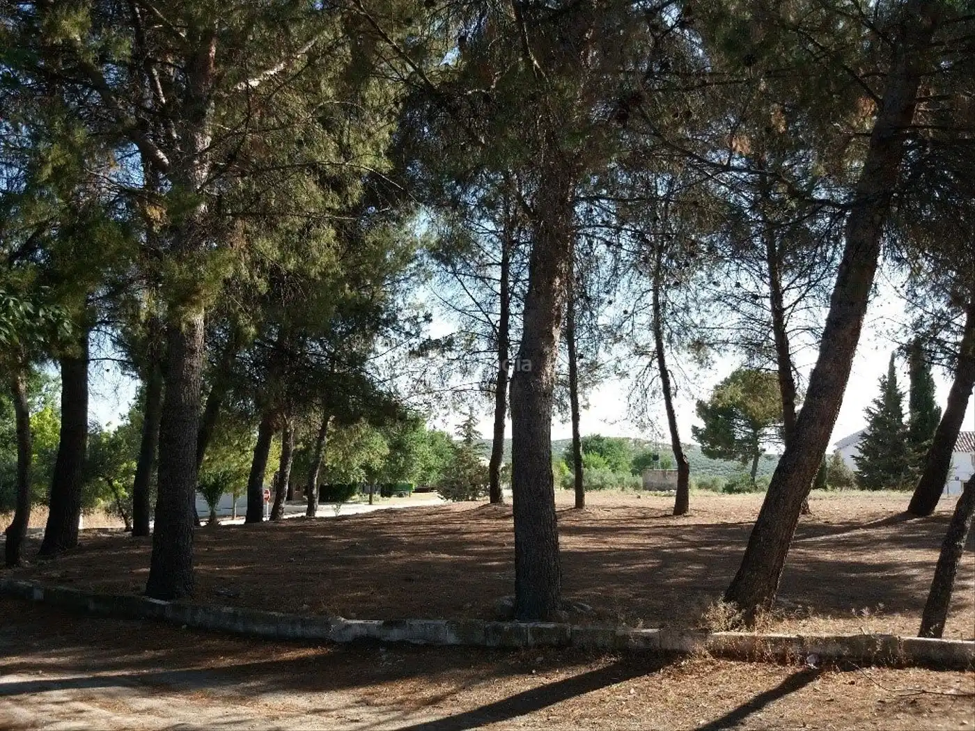 Terreni e lotti in vendita a Avenida Aceituneros 7, imagen 4