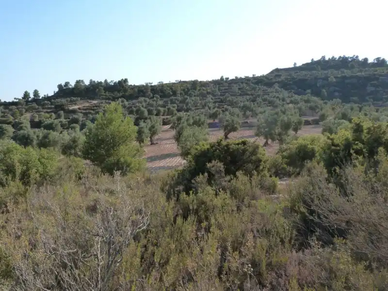 Finca rústica en venta en Calaceite