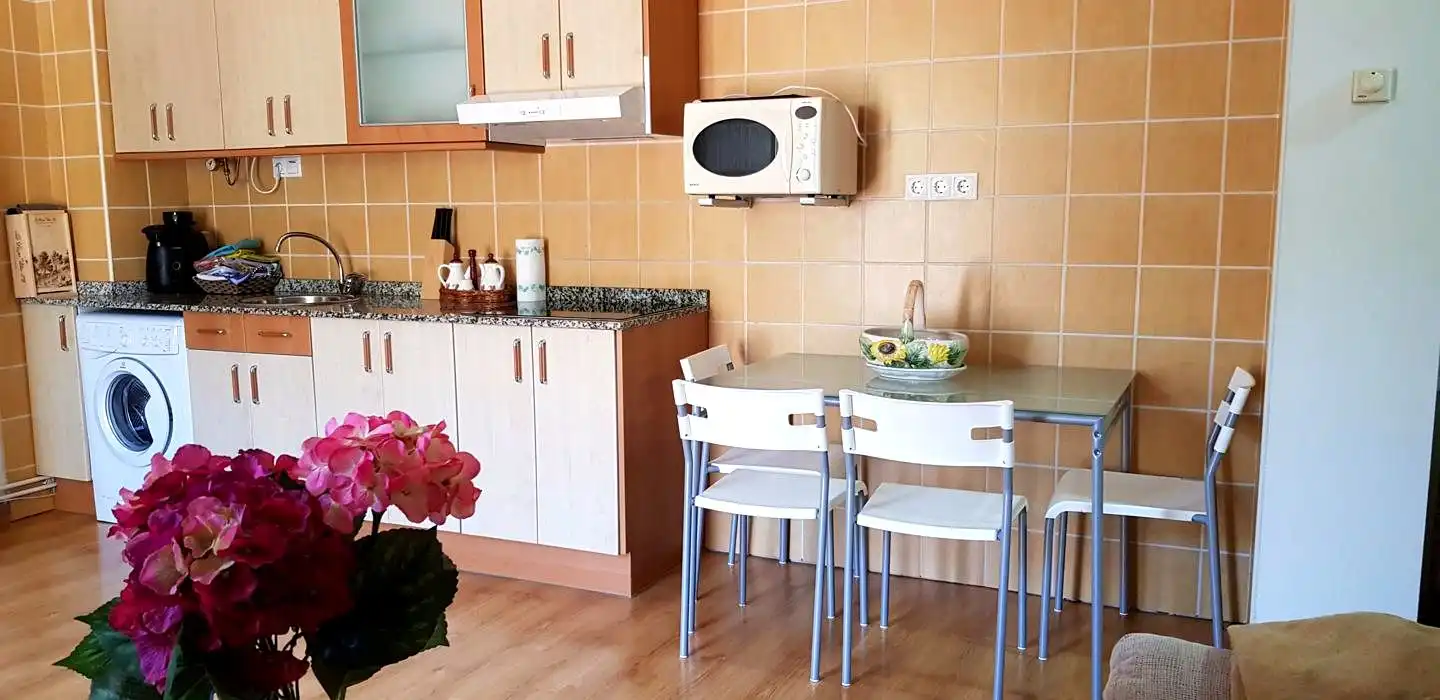 Cuina de Pis en venda en Aller amb Calefacció, Parquet i Terrassa