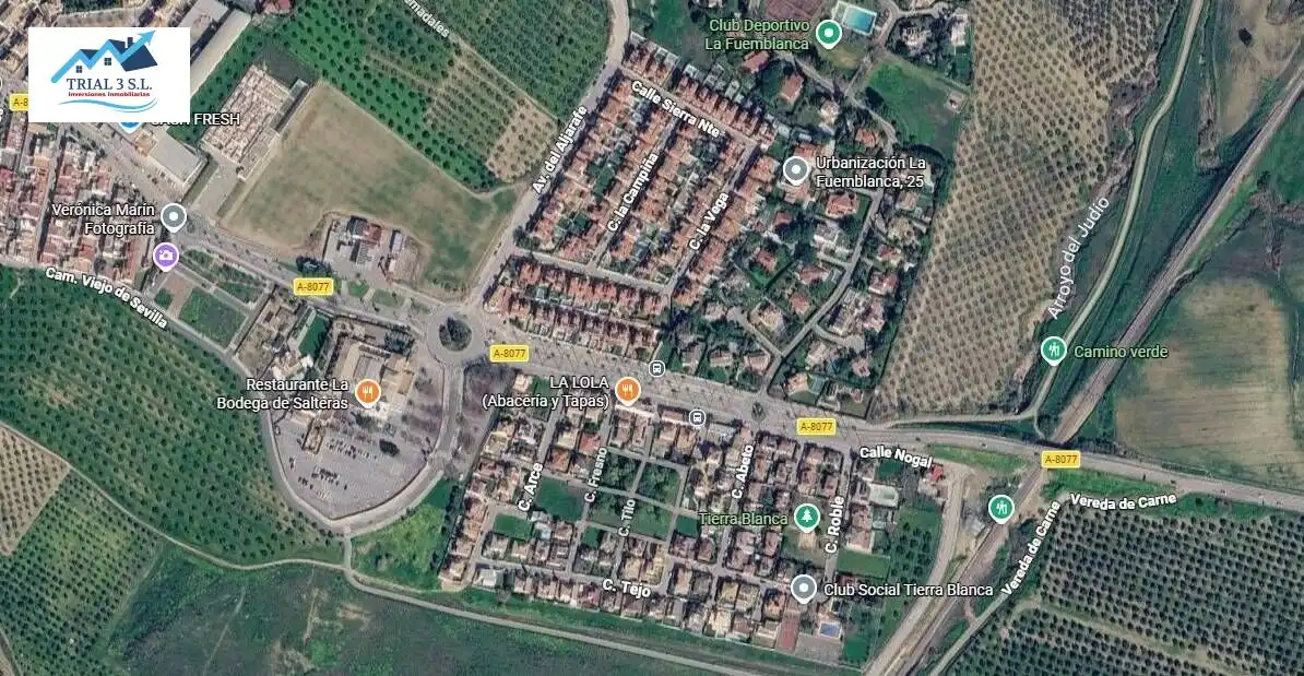 Exterior view of Houses for sale in Salteras  with Private garden and Community pool